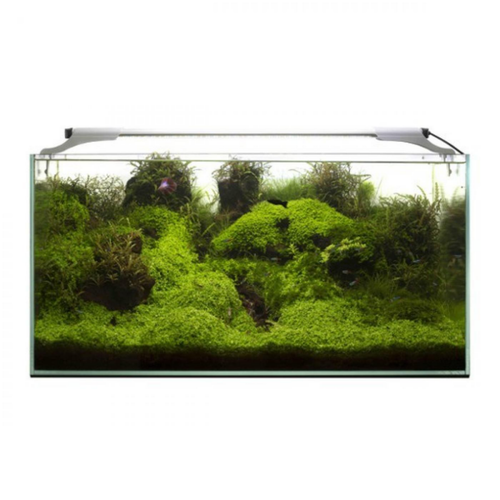 Visuel 3 du produit Rampe LED pour aquarium d'eau douce, blanc 10W, AQUAEL Leddy Slim Plant 2.0 - 10W