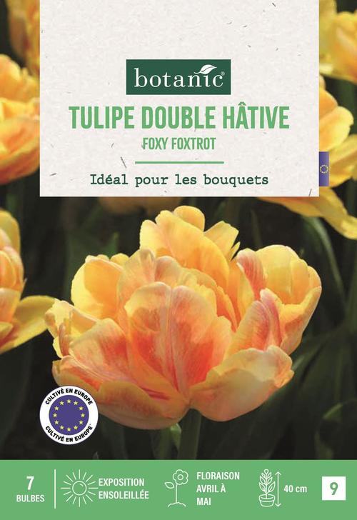 Visuel 1 du produit Bulbes de fleurs Tulipe double tardive Foxy Foxtrot rose botanic® - 7 bulbes