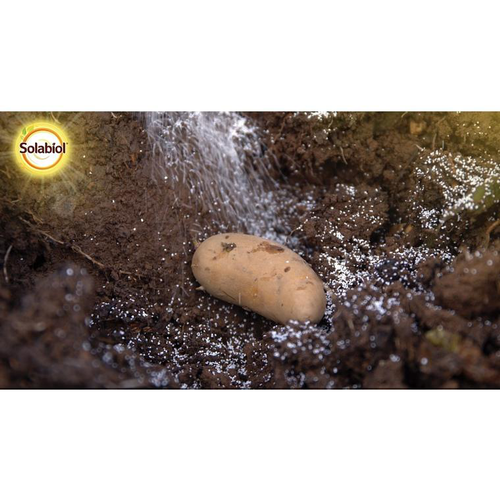 Visuel 4 du produit Insectes du sol 600 g 5,6x12,9x14,2 cm