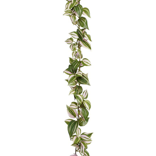 Visuel 1 du produit Guirlande artificielle verte de Tradescantia - 180 x 12 x 5 cm
