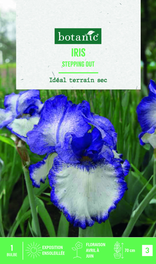 Visuel 1 du produit Bulbe de fleurs Iris Germanica Stepping out botanic® - 1 bulbe