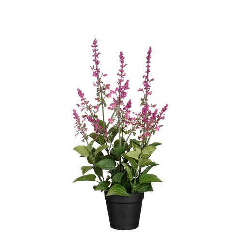 Visuel 1 du produit Sauge artificielle rose fuchsia en pot - Ø 20 x H 43 cm