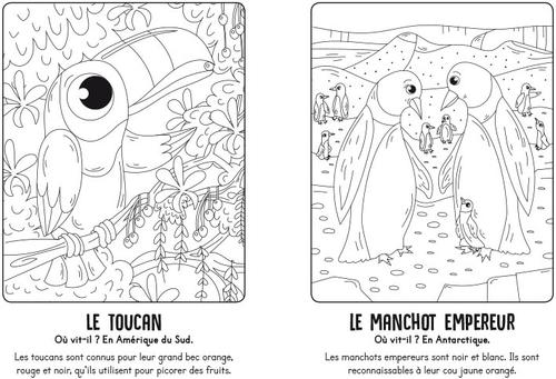 Visuel 4 du produit Livre "Les animaux" aux Éditions Grenouille