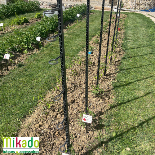 Visuel 5 du produit Tuteur à tomate avec 4 attaches coloris gris  - 180 cm