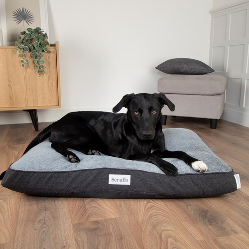 Visuel 7 du produit Couchage orthopédique pour chien coloris gris Scruffs Harvard - Taille XL 120 x 75 x 16 cm