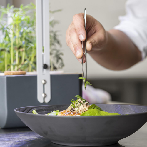 Visuel 9 du produit Potager coloris graphite Gourmet Indoor Véritable avec 6 lingots fournis - 1 étage