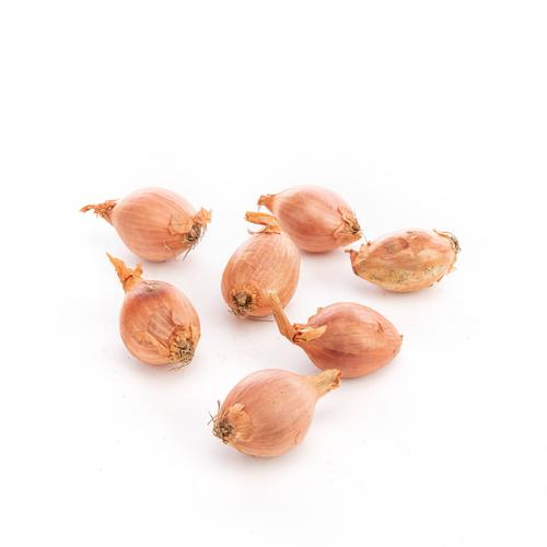 Visuel 1 du produit Échalote bio - Prix au kg