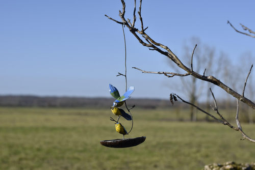 Visuel 1 du produit Suspension mangeoire ronde décor mésanges en métal recyclé Chouette & Co - 40 cm