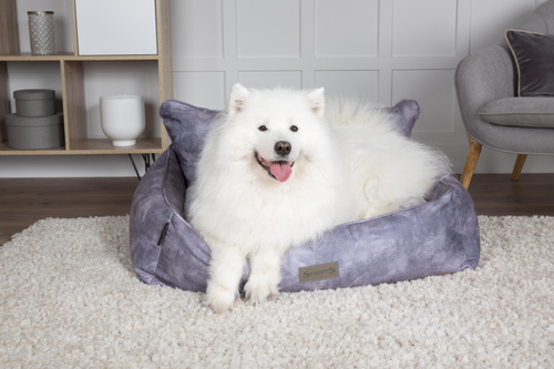 Visuel 7 du produit Corbeille pour chien gris Kensington Scruffs – Taille M