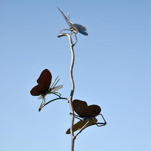 Visuel 1 du produit Tuteur métal 3 papillons teinte naturelle