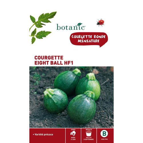 Visuel 1 du produit Graines de Courgette eight ball hybride F1 botanic® - graines à semer