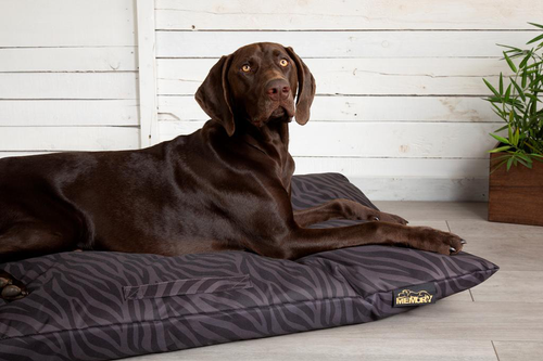 Visuel 5 du produit Coussin imperméable à mémoire de forme pour chien Expédition Scruffs - Taille L