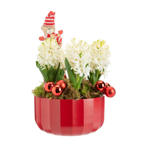 Visuel 1 du produit Composition coupe céramique rouge - Ø 20 cm