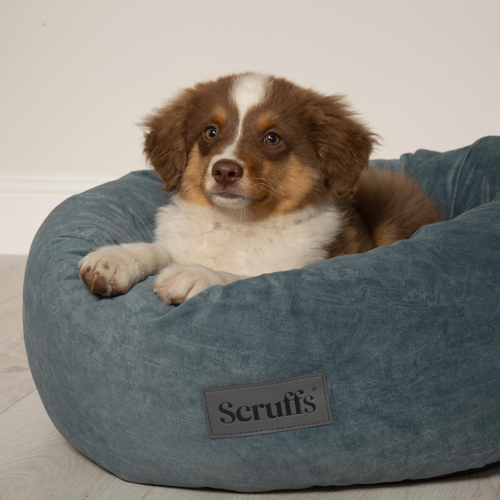 Visuel 4 du produit Corbeille pour chien coloris vert Scruffs Oslo Donut – Taille L