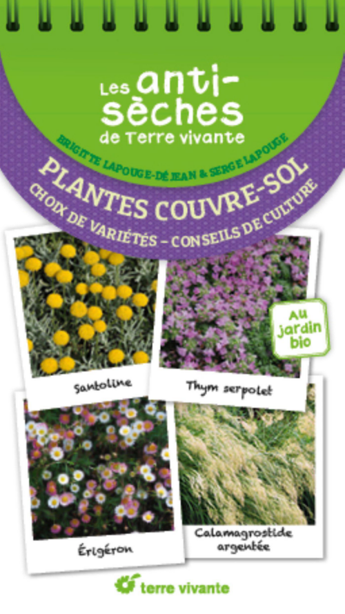 Visuel 1 du produit Livre "Les antisèches : Plantes couvre-sols" Éditions Terre Vivante