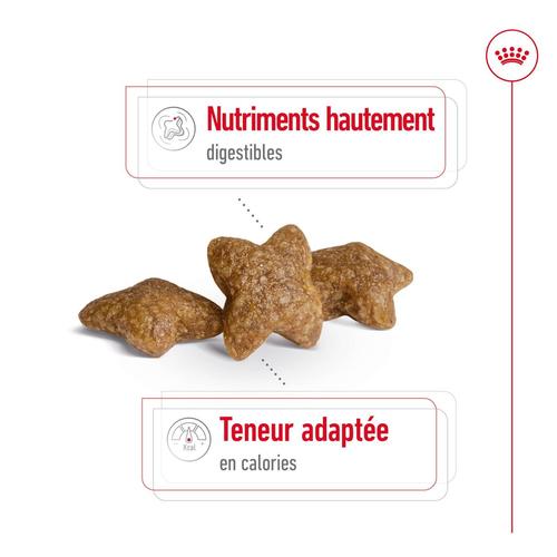 Visuel 4 du produit Croquette pour chien adulte de petite taille Royal Canin - 4 kg