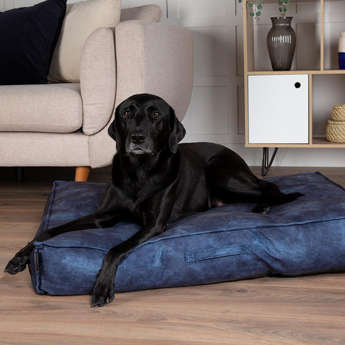 Visuel 6 du produit Coussin pour chien bleu Kensington – Taille M