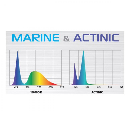 Visuel 4 du produit Rampe LED aquarium eau de mer Leddy Slim Duo Marine & Actinic 2.0 | Blanc 10 W - AQUAEL