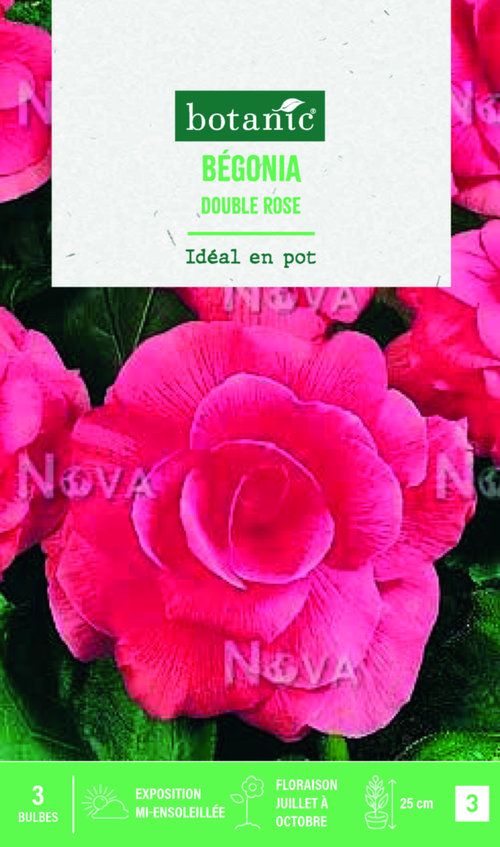 Visuel 1 du produit Bulbes de fleurs Bégonia double rose botanic® - 3 bulbes