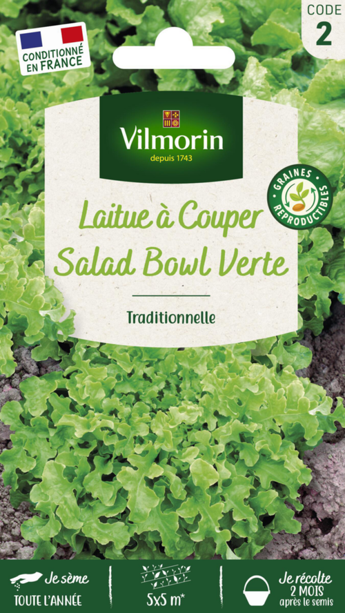 Visuel 1 du produit Laitue à couper Salad Bowl Verte Vilmorin - graines à semer