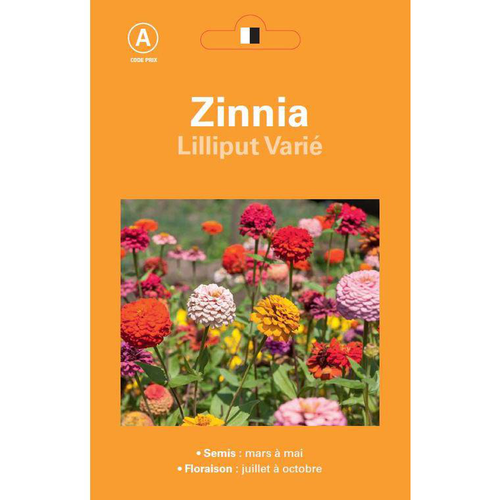 Visuel 1 du produit Graines de Zinnia Lilliput varié - graines à semer