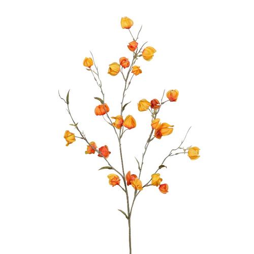 Visuel 1 du produit Branche artificielle de physalis orange - 94 cm