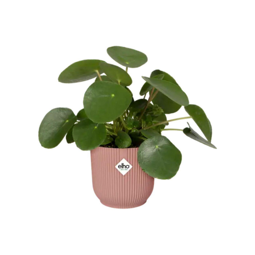 Visuel 2 du produit Cache pot rose poudré Elho Vibes fold - Ø 14 cm