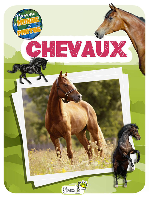 Visuel 1 du produit Livre pour enfants "Chevaux découvre le monde"