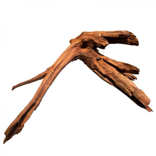 Visuel 1 du produit Racine de mangrove naturelle SUPERFISH pour aquarium - 40cm