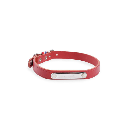 Visuel 1 du produit Collier pour chien en cuir coloris rouge Martin Sellier Rive - Taille 20/50