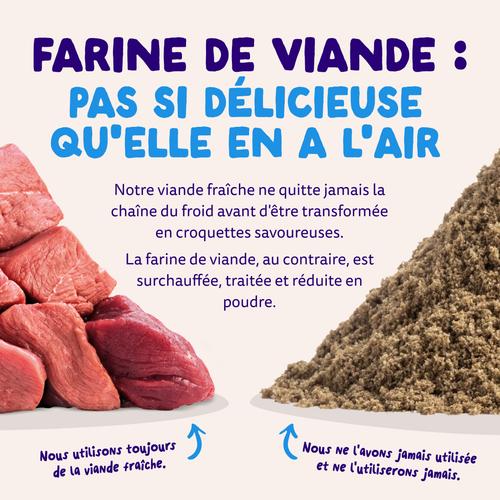 Visuel 10 du produit Croquettes pour chien adulte au saumon sans céréales Edgard & Cooper - 2,5 kg