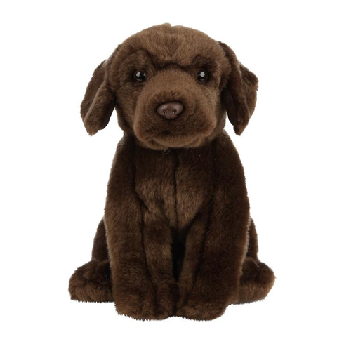 Visuel 1 du produit Labrador chocolat Living Nature - 20 cm