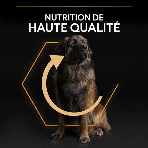 Visuel 9 du produit Croquettes pour chien Pro Plan Dog Large Adult Robust - 16,5 kg