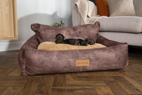 Visuel 5 du produit Corbeille pour chien marron Kensington Scruffs – Taille XL