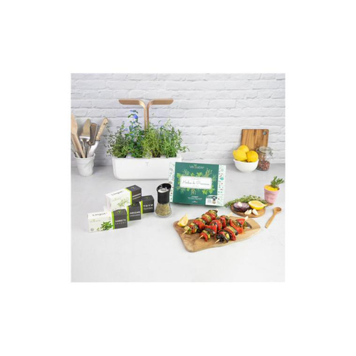 Visuel 3 du produit Coffret Herbes de Provence pour potager Véritable - 4 lingots