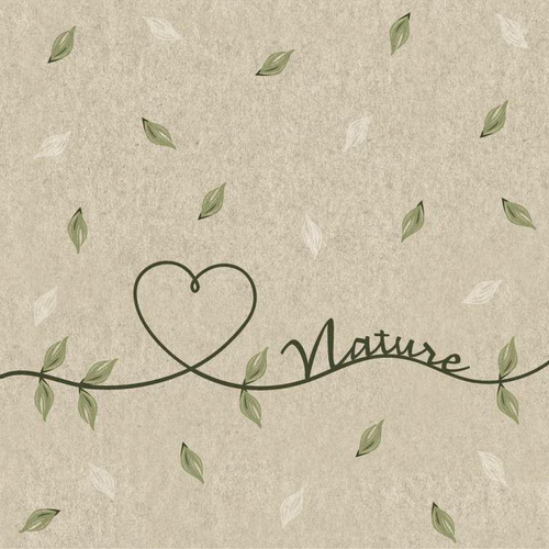 Visuel 1 du produit Serviettes en papier recyclé 2 plis x 25 Love of nature - 33 x 33 cm