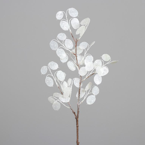 Visuel 1 du produit Branche artificielle de Lunaria blanc – 75 cm