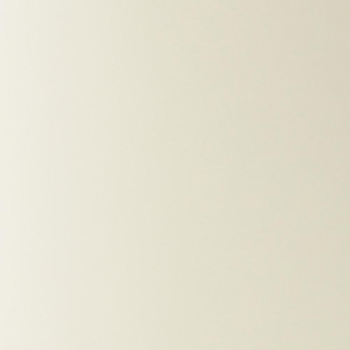 Visuel 4 du produit Gamelle surélevée pour chat Scruffs coloris beige