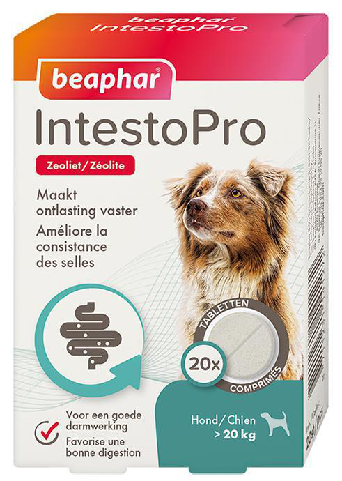 Visuel 1 du produit Aliment complémentaire consistance des selles pour chien Beaphar IntestoPro - x 20 comprimés