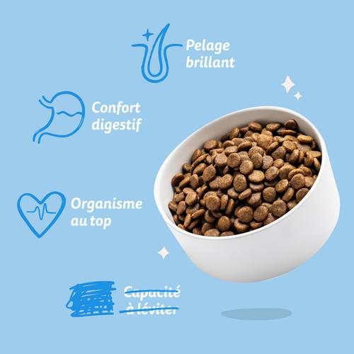 Visuel 7 du produit Croquettes pour chien adulte au saumon sans céréales Edgard & Cooper - 7 kg