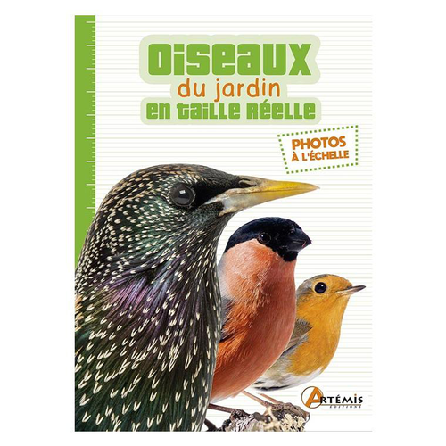 Visuel 1 du produit Oiseaux du jardin en taille réelle. Editions Artemis