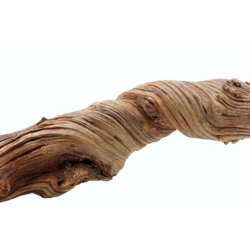 Visuel 1 du produit Liane naturelle pour terrarium coloris marron Reptile Planet Jungle Liana - 1,8 à 2 m (5 - 8 cm)