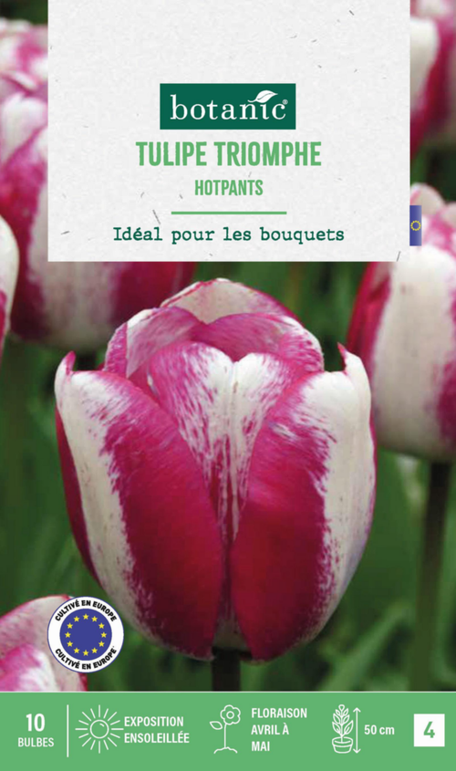 Visuel 1 du produit Tulipe Hotpants botanic® - 10 bulbes