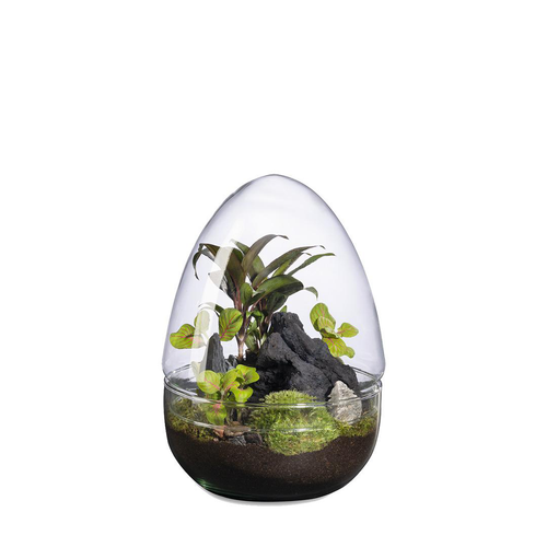 Visuel 1 du produit Terrarium autonome Dyno Landscape botanic® - taille L