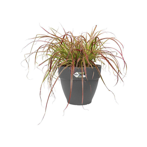 Visuel 4 du produit Pot vibia campana rond Elho de 46 L coloris noir Ø 47 x H 40 cm
