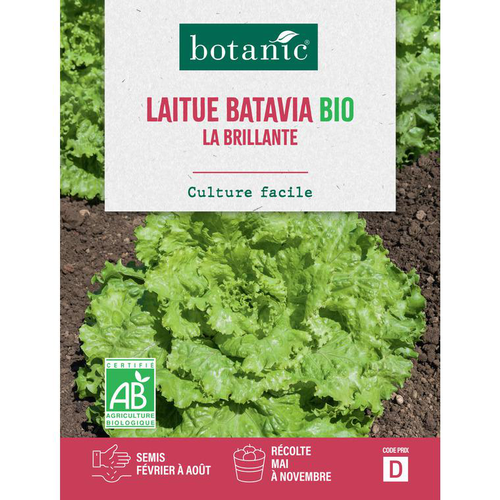 Visuel 1 du produit Graines de laitue batavia la brillante bio botanic® - graines batavia semer