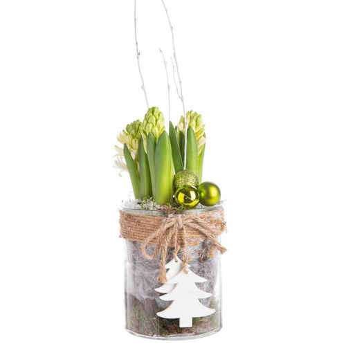 Visuel 1 du produit Composition de Noël 3 jacinthes multicolore verrerie sapin