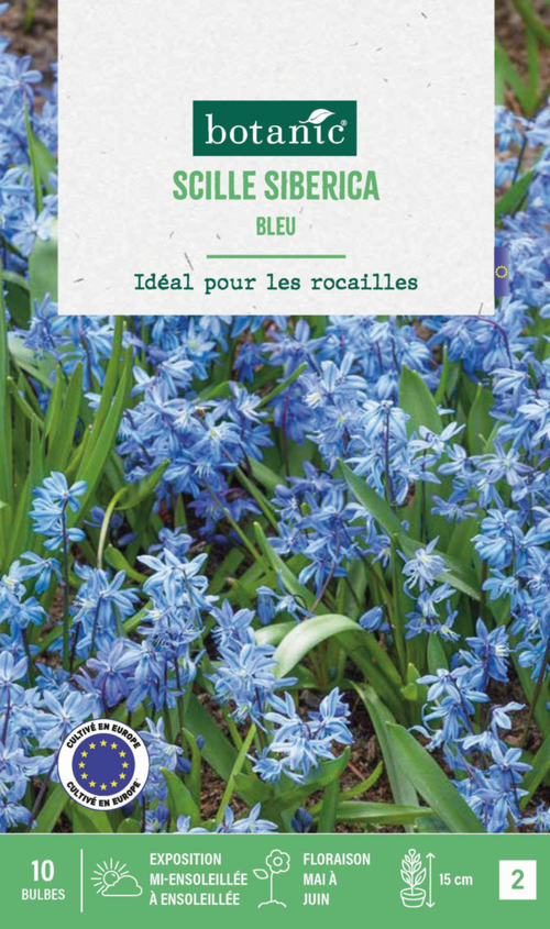 Visuel 1 du produit Scilla siberica botanic® - 10 bulbes