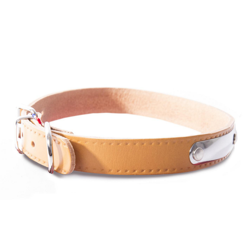 Visuel 1 du produit Collier pour chien en cuir coloris marron Martin Sellier Rive - Taille 20/50