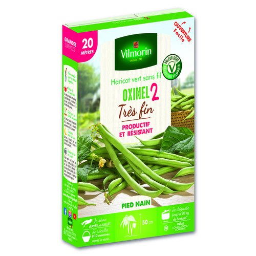Visuel 1 du produit Graines de haricot vert Oxinel 2 très fin Vilmorin - graines à semer